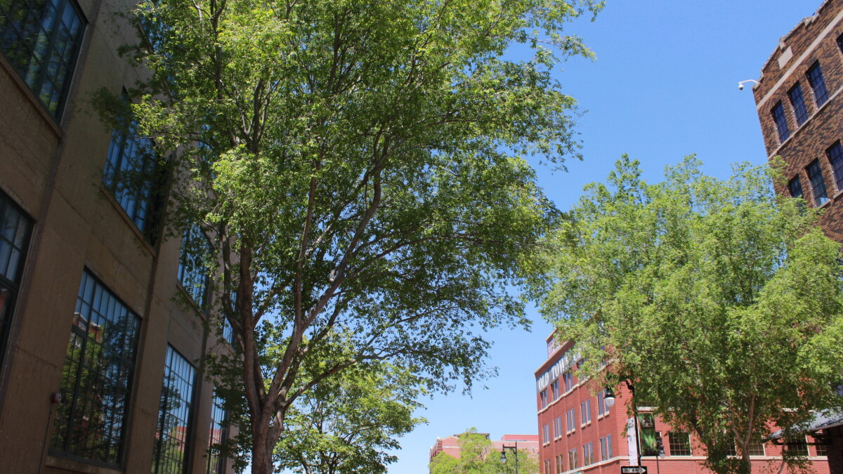What parts of Wichita are most vulnerable to extreme heat? This report identifies them - Vimarsana News
