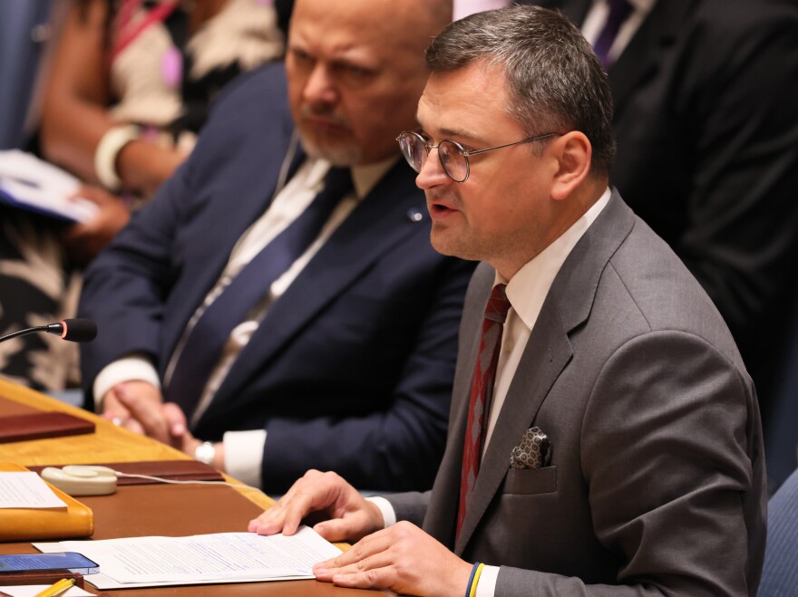 Ukraine Minister for Foreign Affairs Dmytro Kuleba speaks during a United Nations Security Council meeting last September.