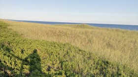 Beach 21 in August 2023