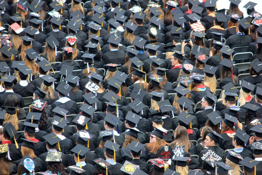 an arial view of students from behind in black cap and gowns with yellow tassles