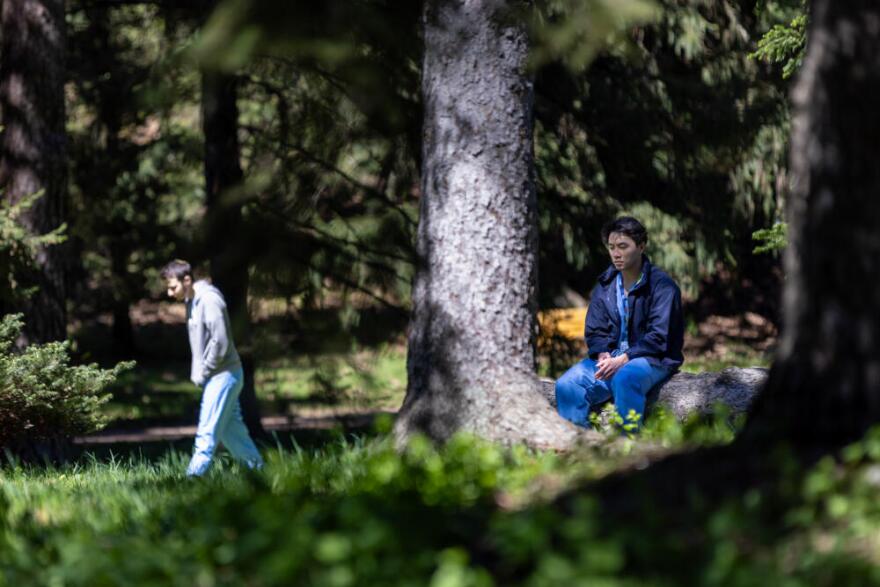 Dr. Eli Schwamm walks through the trees while Dr. Michael Pang meditates on a tree stump in the Arnold Arboretum during a forest therapy session. (Jesse Costa/WBUR)