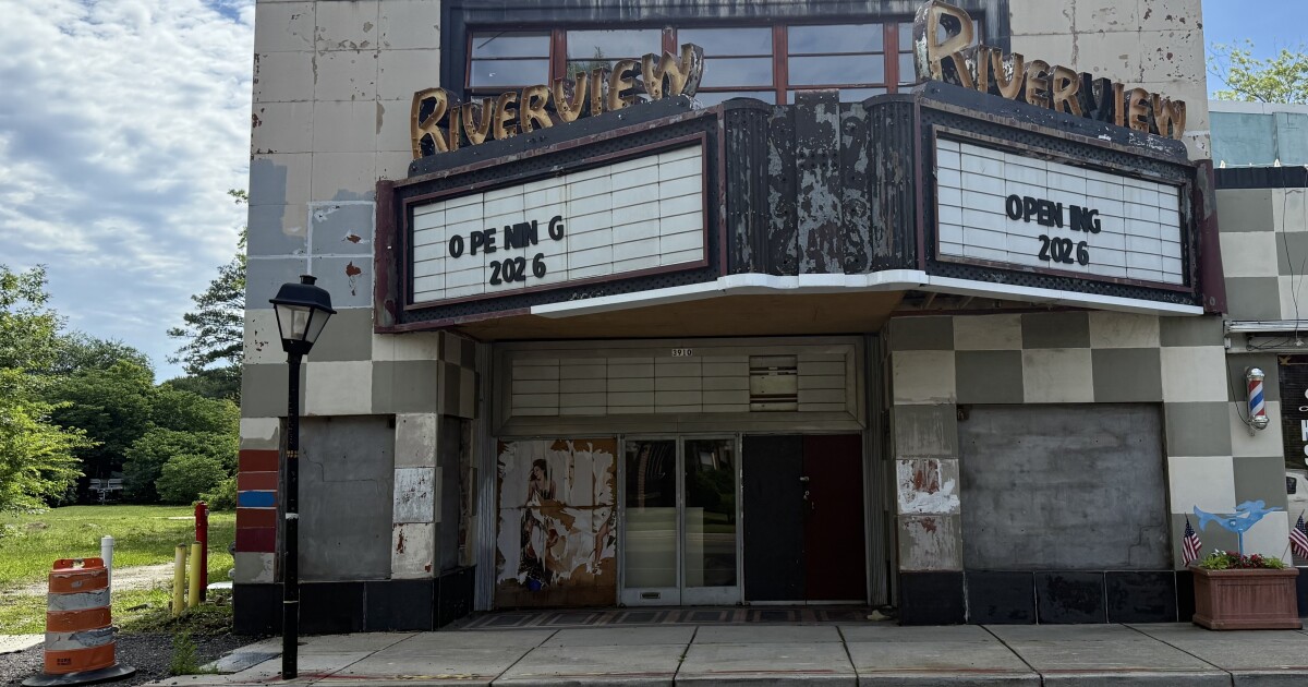 Norfolk's long-dormant Riverview Theater sells to former owner in public auction