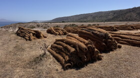 Santa Rosa Island
