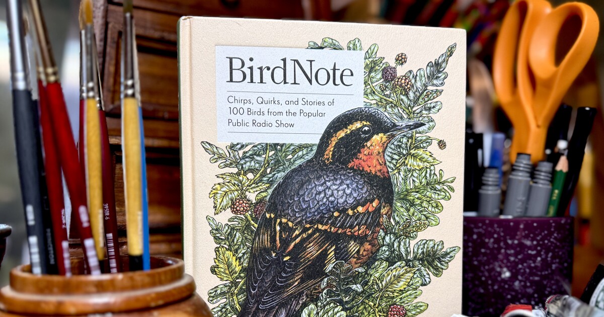Birds in sound and color: KLCC celebrates BirdNote with local artist