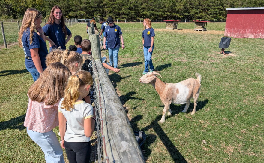 Students visit with goats during their tour