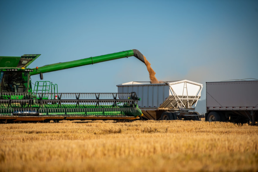 Harvest Ridge Organics harvests wheat on a field in Idaho. The 2018 farm bill extension ran out as low grain prices, high costs and natural disasters pressure farmers.
