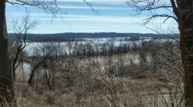 flooded fields seen through trees