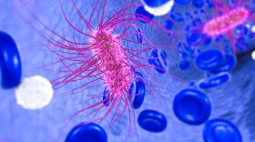 A rendering of an E. coli cell. It's a pink oval shape with many hair-like protrusions coming off in all directions. Other types of cells are out of focus in the background.