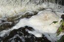 Foam caused by PFAS contamination at one of the many sites in the state where the "forever" chemicals have been found.