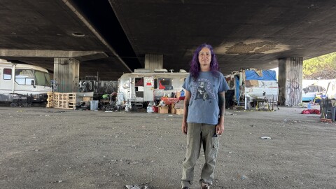 Meg McAdam and her team of volunteers provide medical support to pets in about 15 Oakland homeless encampments each week.