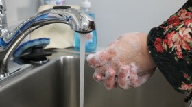 One expert said people can try to avoid getting sick by practicing food safety, cleaning surfaces with effective disinfectants like bleach, and properly washing their hands.