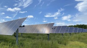 A Dominion Energy solar farm in Sussex County. (Photo by Katherine Hafner)