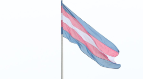 Transgender Flag