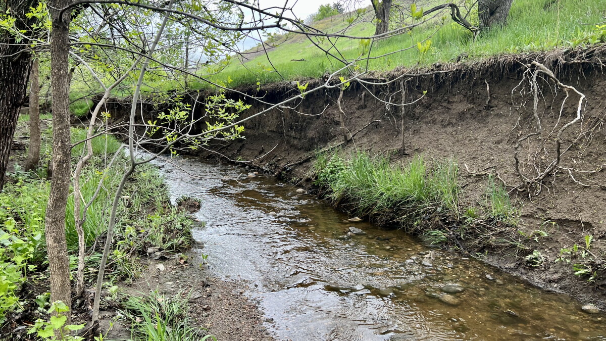News brief with Boulder Reporting Lab: Flood mitigation plan could displace 500 homes - Vimarsana News