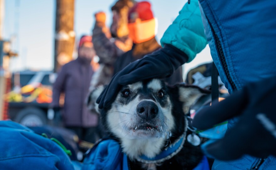 Sam Brewer carried a dog in his sled for the last few miles of the race. He is greeted by Jessica Klejka at the finish line on January 30, 2022 in Bethel, Alaska.