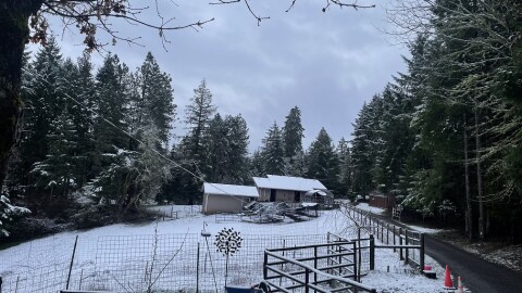 Snow with building, fences, trees and a road.
