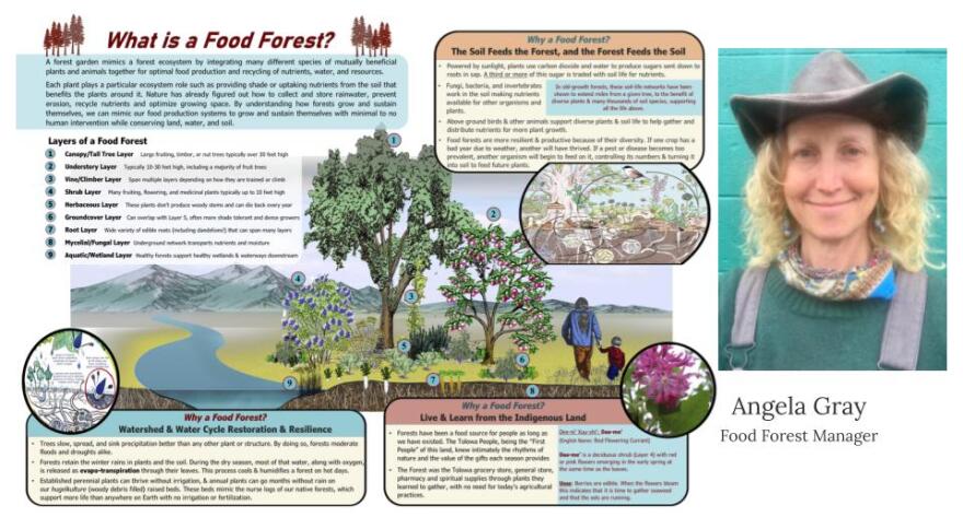 Angela Gray
​​Food Forest Manager
