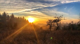 Sun setting over dry field.