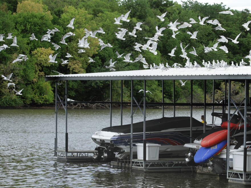 Illinois' Lake Springfield is two feet below full, which normally doesn't happen until fall. So the city of Springfield is joining many others in either restricting water use or considering it.