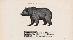 IWFF is an annual wildlife and conservation themed film festival held each April in Missoula, Montana. The event draws in hundreds of filmmakers, scientists, conservationists and enthusiasts. 