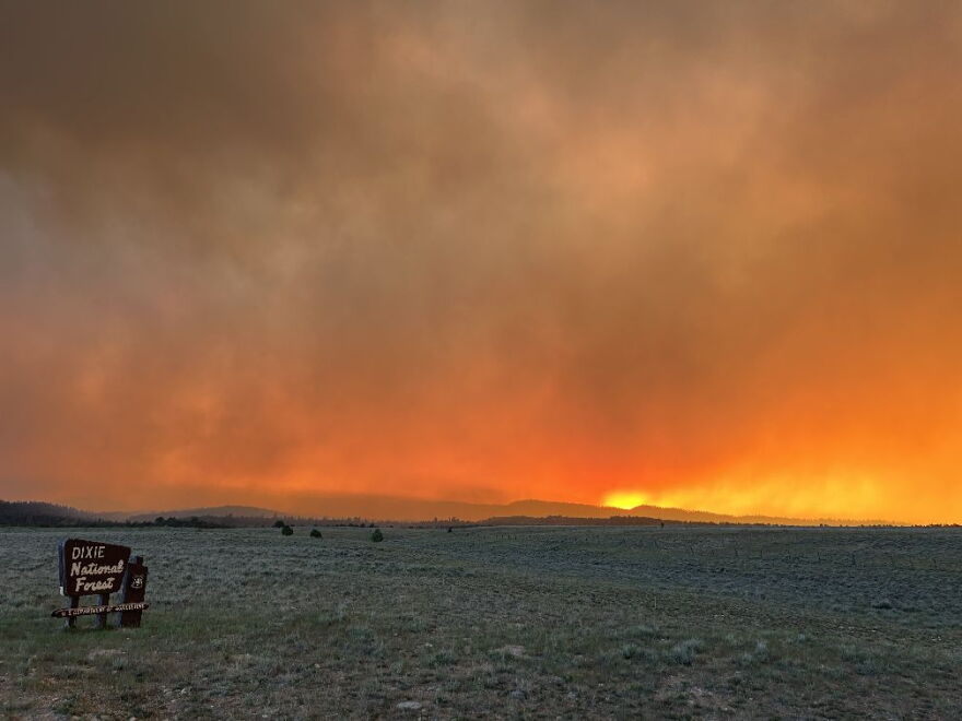 The France Canyon Fire sparked in early June, 2025.