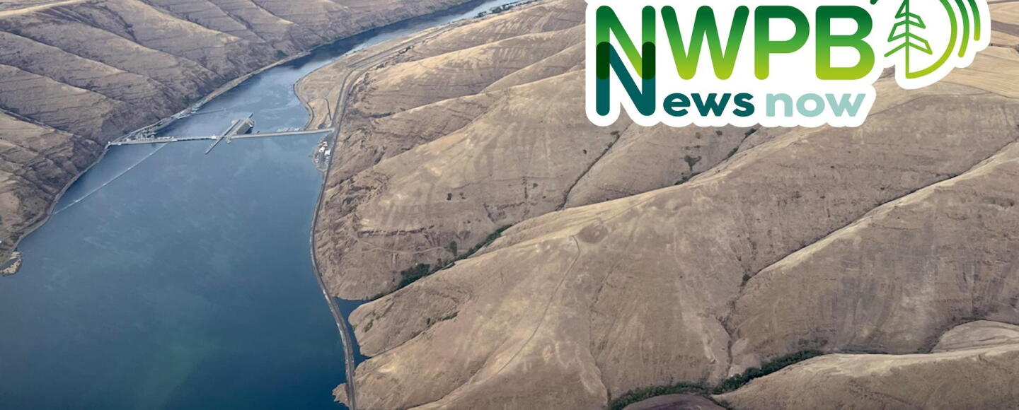 Toxic Algal Blooms, HUD Funding for Native Americans & Dog Field Trips ...