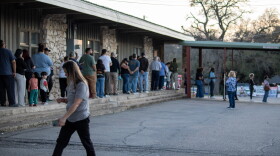 Voters wait in line during early voting for the March 2026 primary elections.