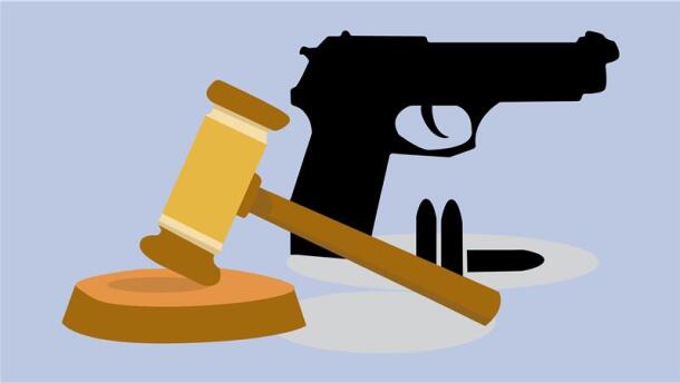 An illustration depicts a wooden gavel and gavel stand in the foreground. Behind the gavel is a black gun, with three bullets resting beneath the gun. The background of the illustration is pale blue.