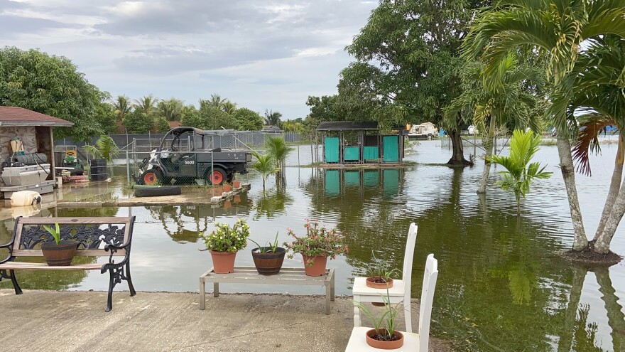Flooding left most of Raul Arrazaeta's Las Palmas yard underwater last month.
