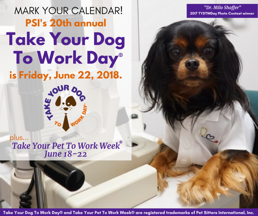 is today take your dog to work day