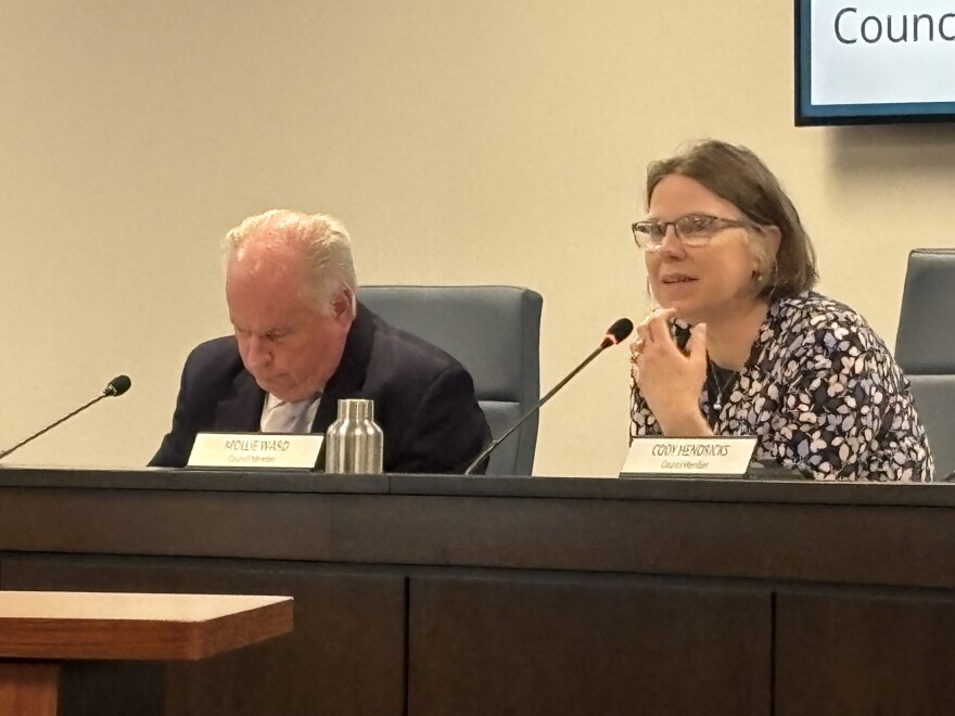 Ward 7 Council member Mollie Ward speaks at the Bloomington City Council committee of the whole meeting Monday night.