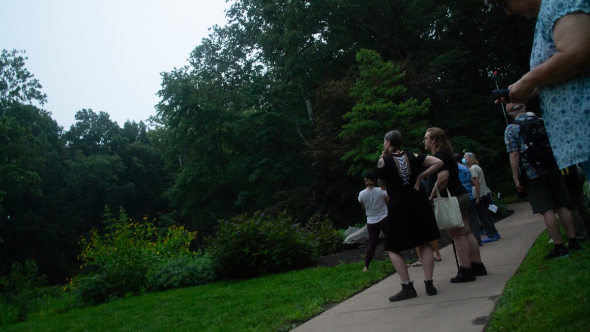 Bats, spectators converge at JMU's arboretum