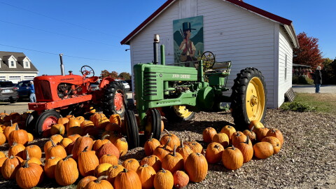 An autumnal scene with pumpkins and a tractor at Carter Hill Orchard