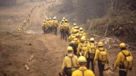 A line of wildland firefighters marches through the woods during the Yellowstone fires of 1988. The massive complex of fires, which burned more than 790,000 acres, was a transformative moment in the country's view of wildfire. CREDIT: NATIONAL PARK SERVICE
