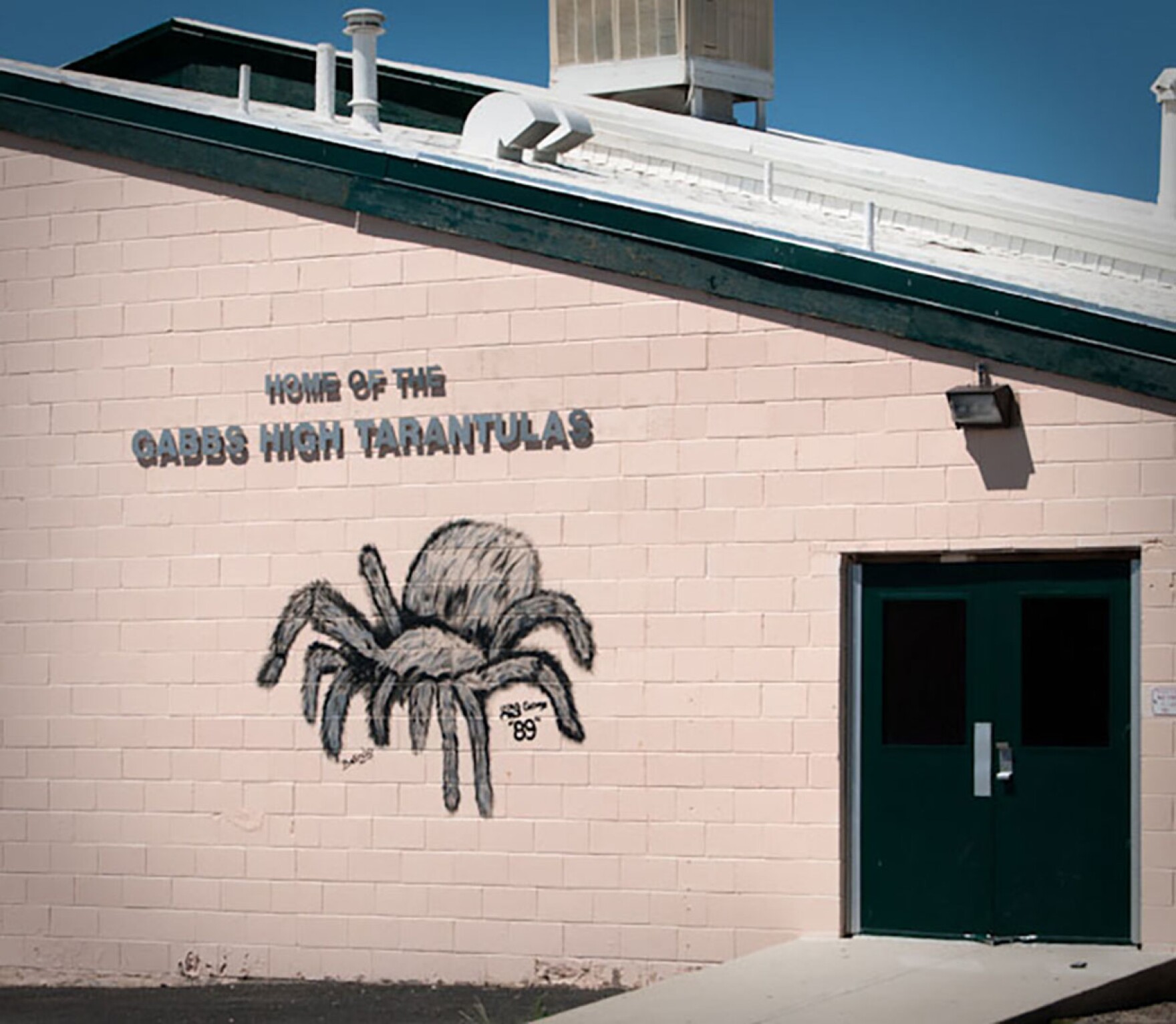 Gabbs, Nevada the epicenter of a tarantula migration