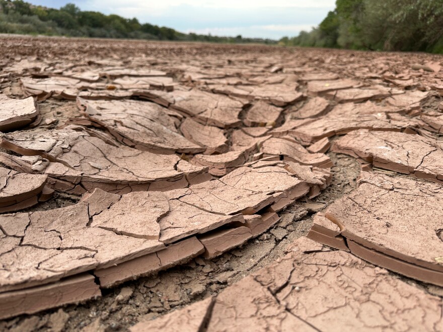 FILE - Cracked, dry mud makes up the riverbed of the Rio Grande in Albuquerque, N.M., on Thursday, Aug. 21, 2025.