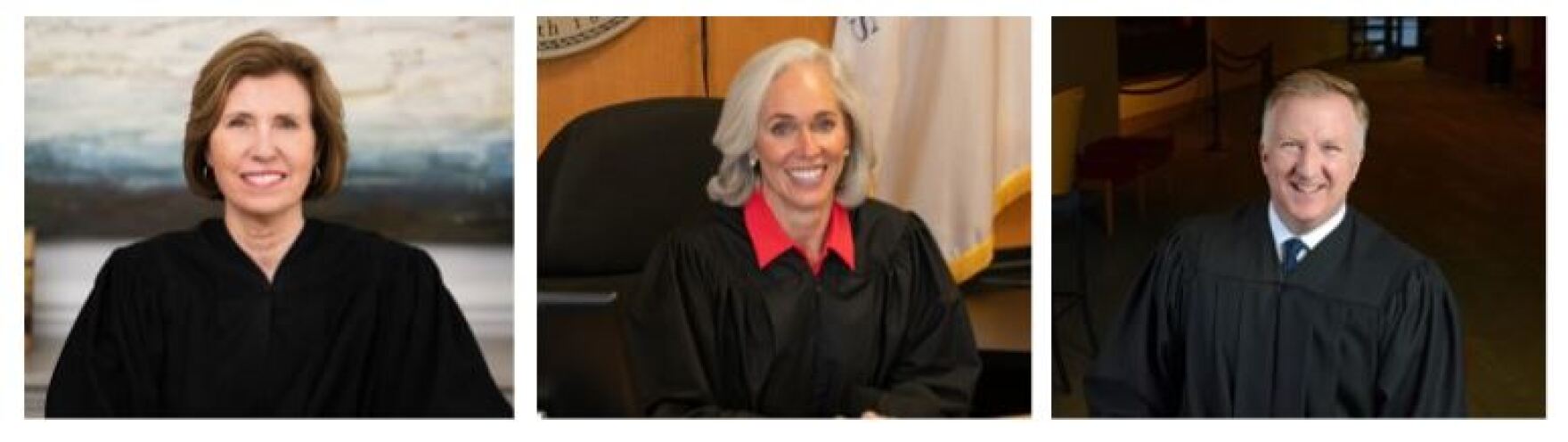 Here #39 s a look at candidates for 2nd District Illinois Supreme Court and