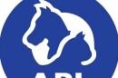 Please visit Animal Protective League of Springfield to see how you can help with support.