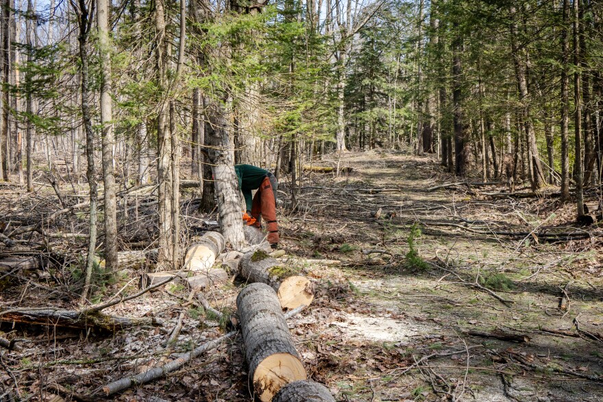 Damage and cleanup efforts from the DNR on the trails after the March 28th ice storm that ravaged northern Michigan