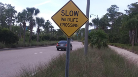  A “Wildlife Crossing” sign at Florida Gulf Coast University, located on Alico Road. Photo by Serena Tartaglia.