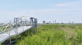 An observation deck at the Great Meadows Marsh in Stratford, which is part of the Stewart B. McKinney National Wildlife Refuge. The marsh has two trails open to the public year-round, each with an observation deck and an observation blind, according to the refuge’s website.