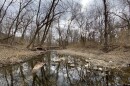 Negro Creek in Johnson County, flows for 6.5 miles before emptying into the Blue River