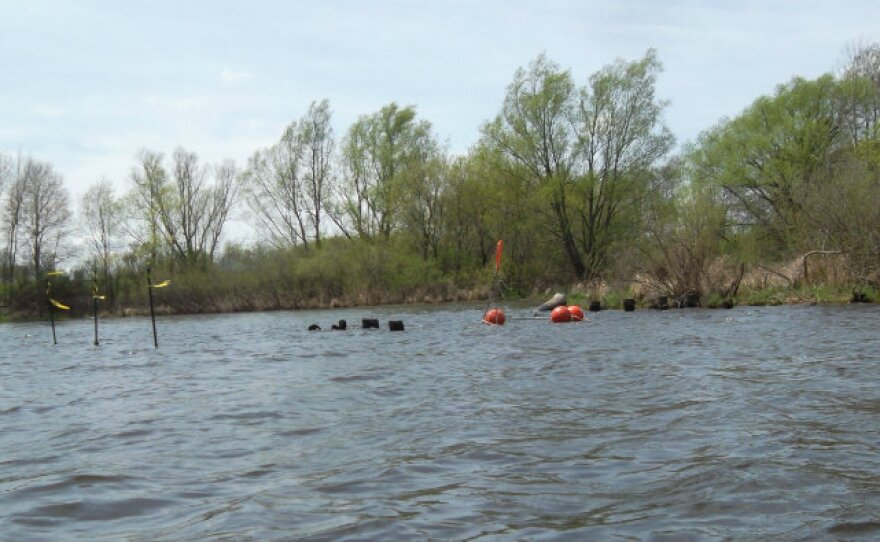 Sediment traps are marked in special areas along the river where flecks of oil that remain should migrate and settle.