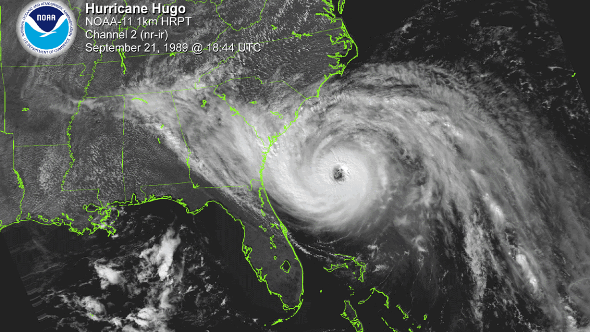 Coverage image for: Remembering Hurricane Hugo at 37