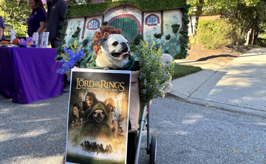 Photos from Porchfest 2026 and Boo-Le-Bark