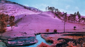 Richard Mosse (Irish, born 1980), Men of Good Fortune, 2011, digital c-print. 