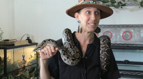 Malia Flood holding a boa constrictor