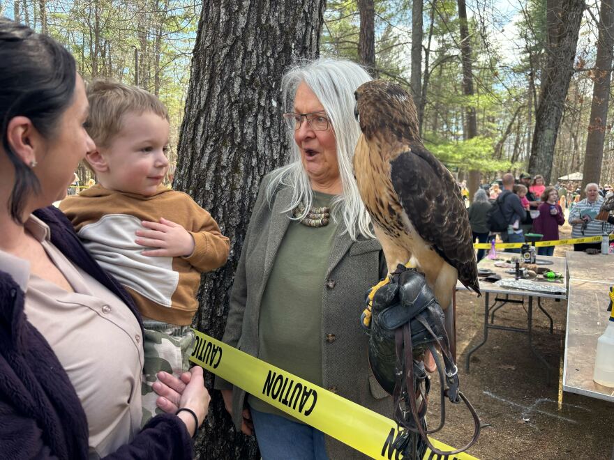 Jackson Testa, 2, and his mom, Amanda, meet Rita Tulloh and her 21-year-old red tail hawk Scarlett O'Hara. Tulloh and Scarlett hunt small game together.