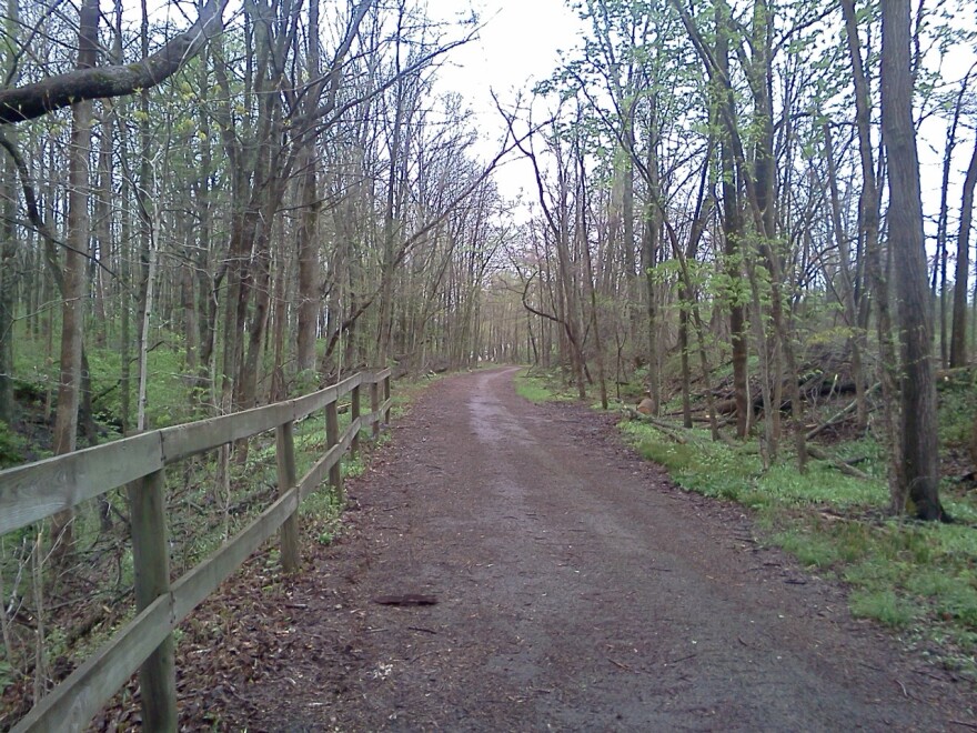 IMG687.jpg