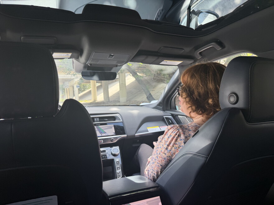 A view from the backseat of a car shows a woman wearing a pink shirt and black glasses in the front seat, facing towards the windshield.